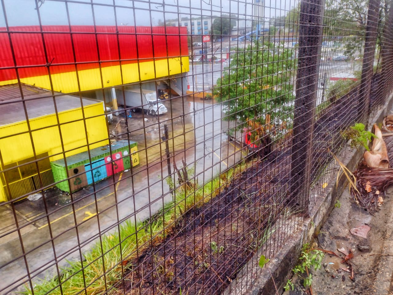 Foto: Jander Robson / Portal do holanda