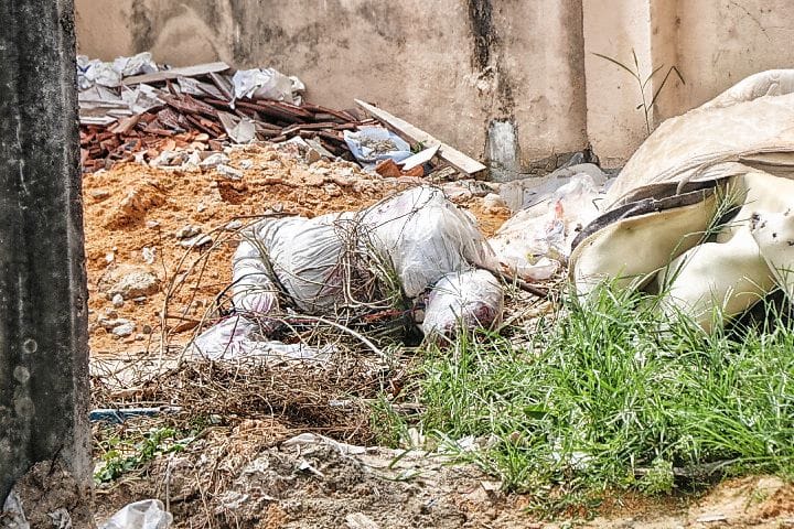 Foto: Jander Robson / Portal do Holanda