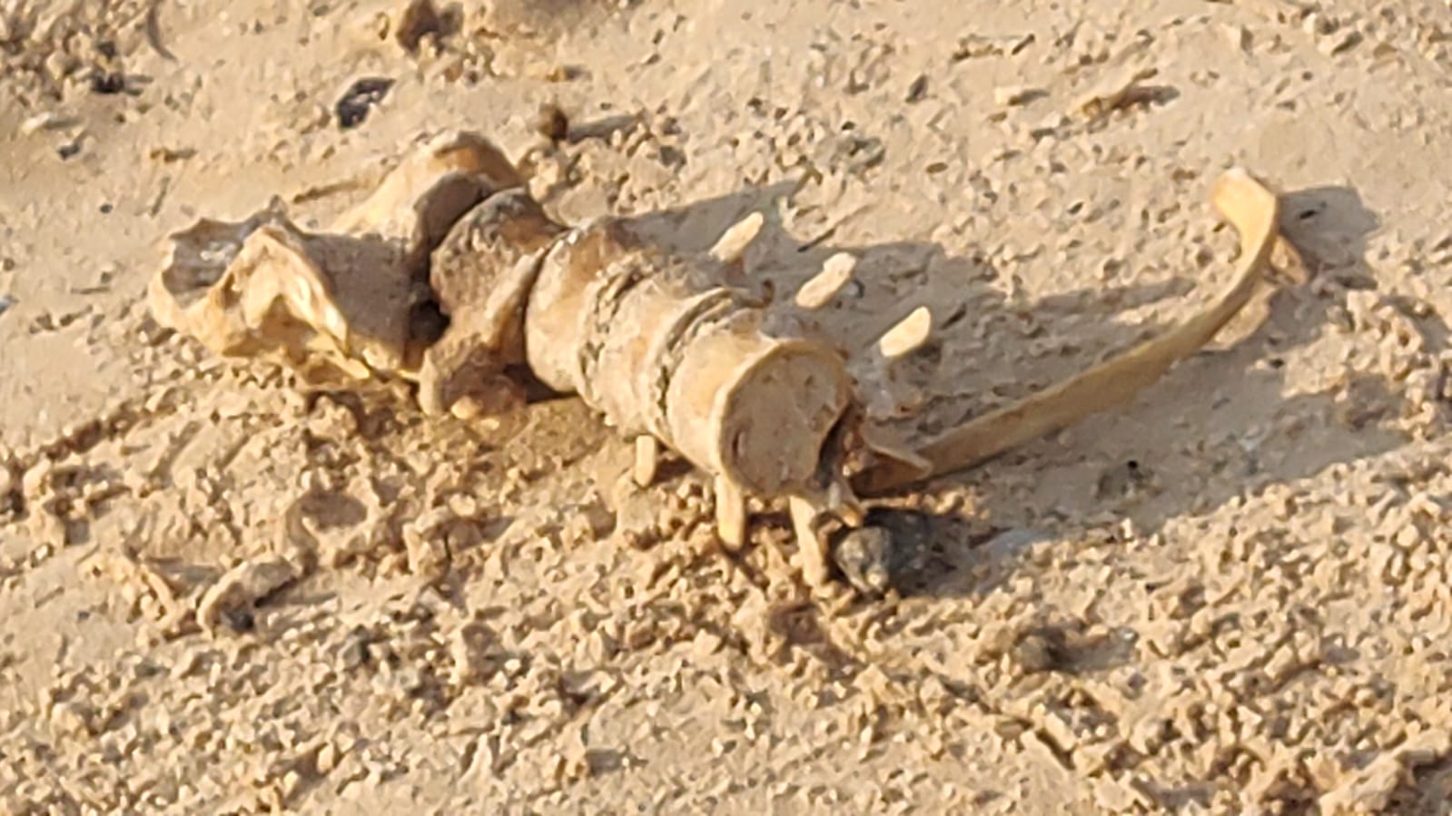 Foto: Divulga&ccedil;&atilde;o