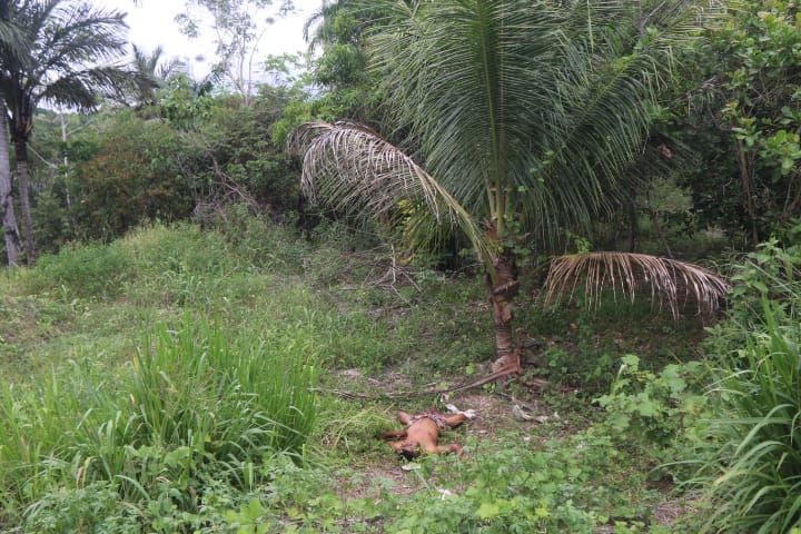 Foto: Jander Robson / Portal do Holanda