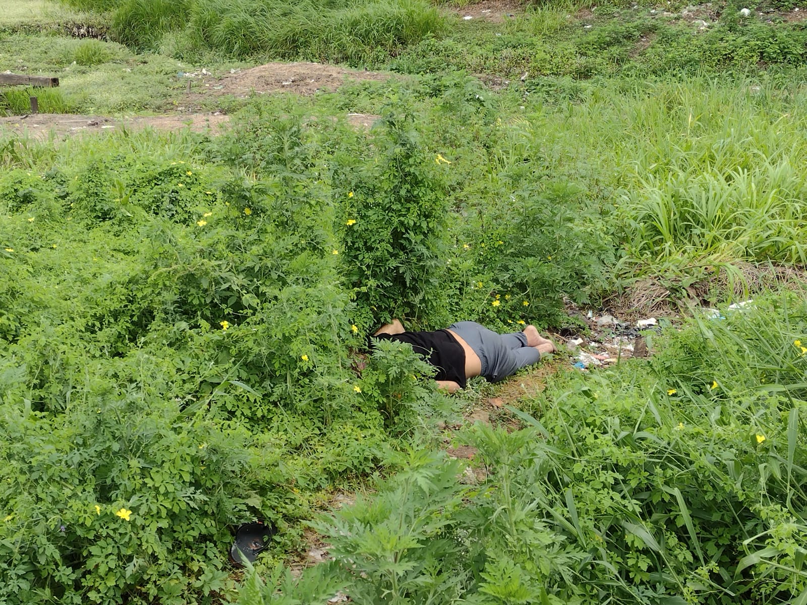 Foto: Jander Robson/Portal do Holanda