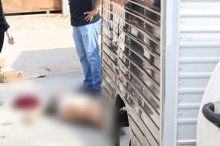 Foto: Jander Robson / Portal do Holanda