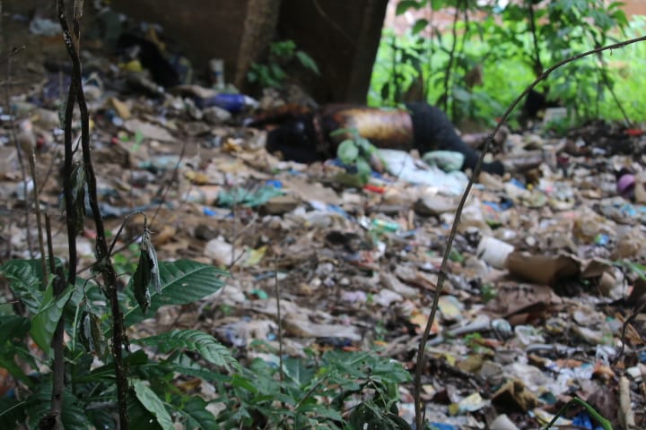 Foto: Jander Robson/Portal do Holanda