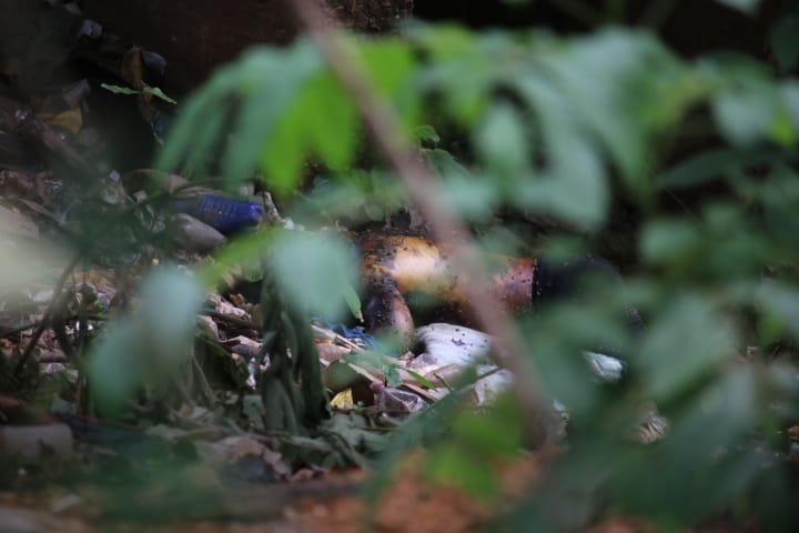 Foto: Jander Robson/Portal do Holanda