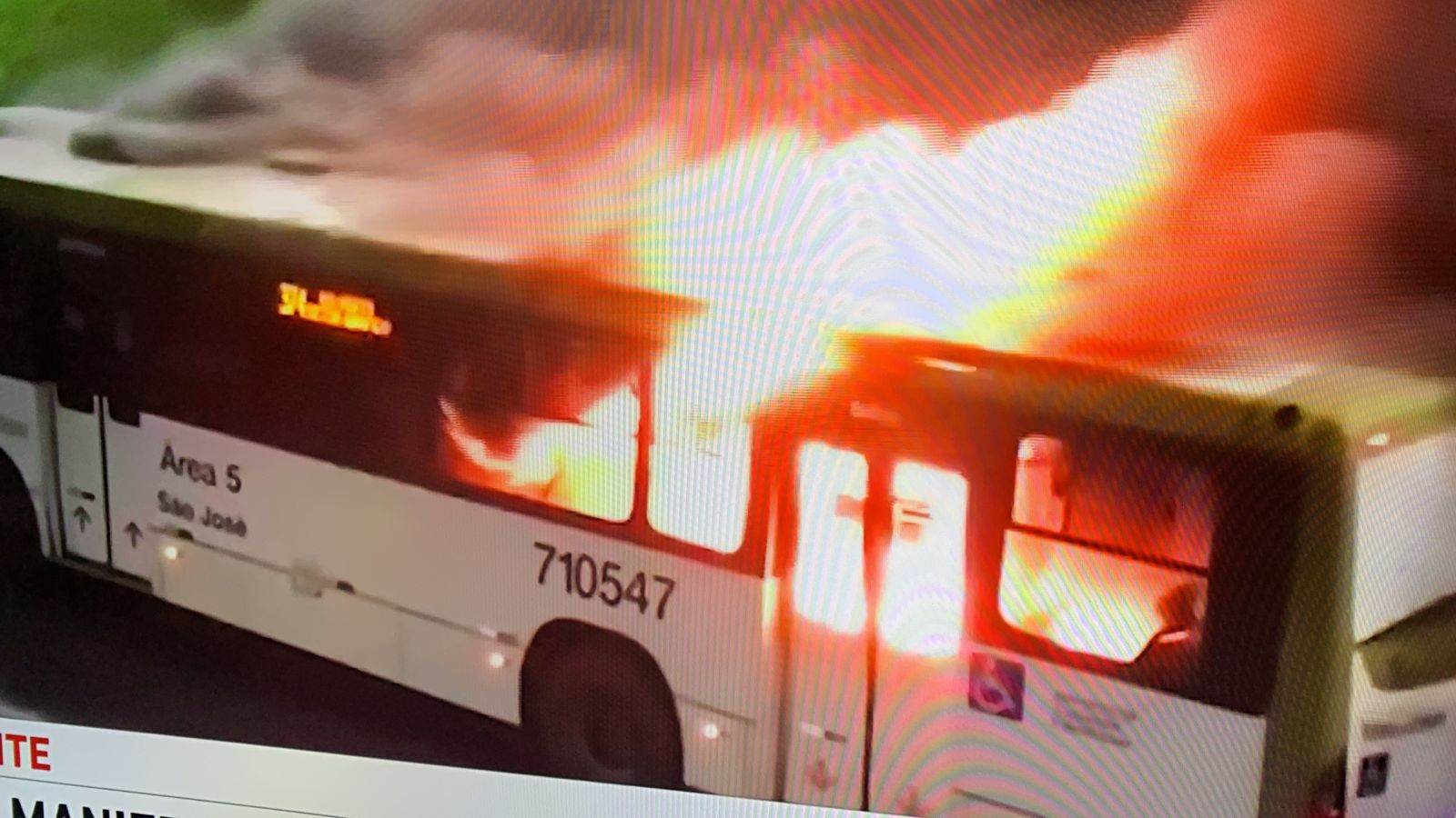 Foto: Reprodu&ccedil;&atilde;o