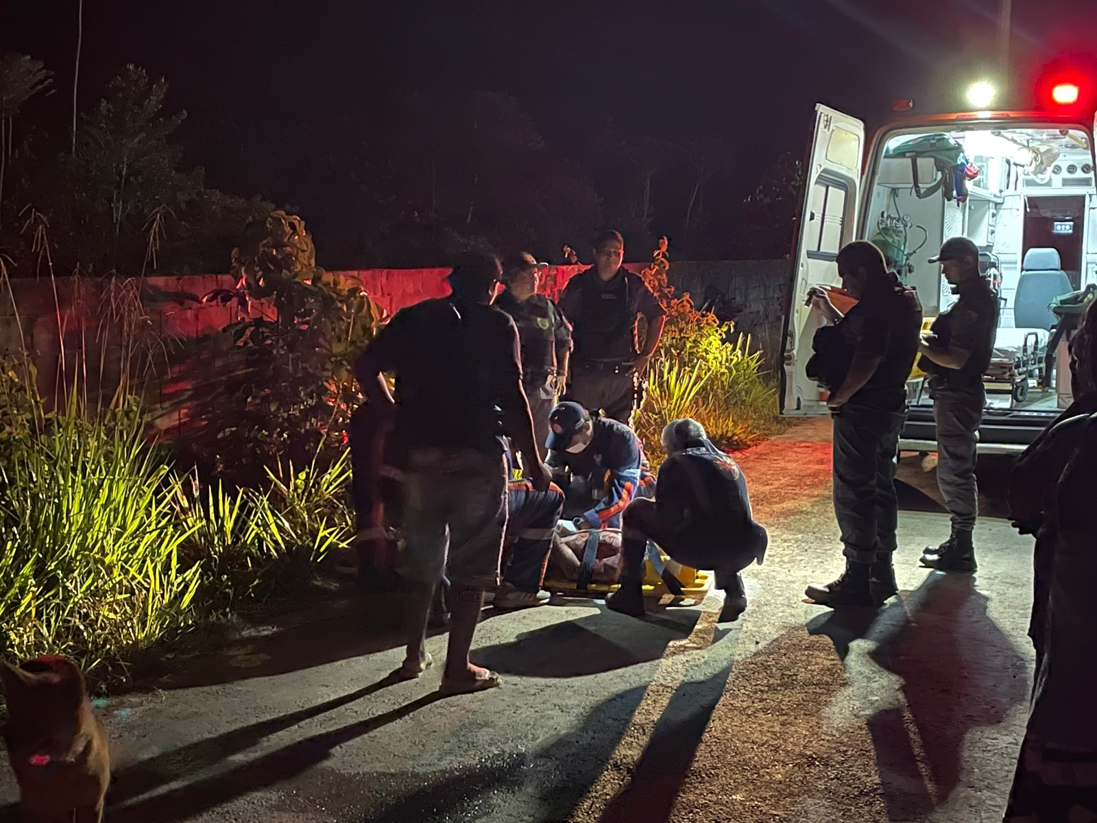 Foto: Divulga&ccedil;&atilde;o