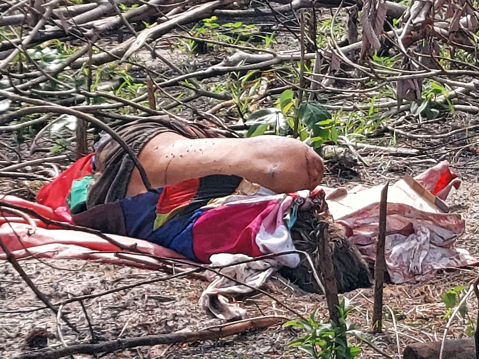 Foto: Jander Robson/Portal do Holanda