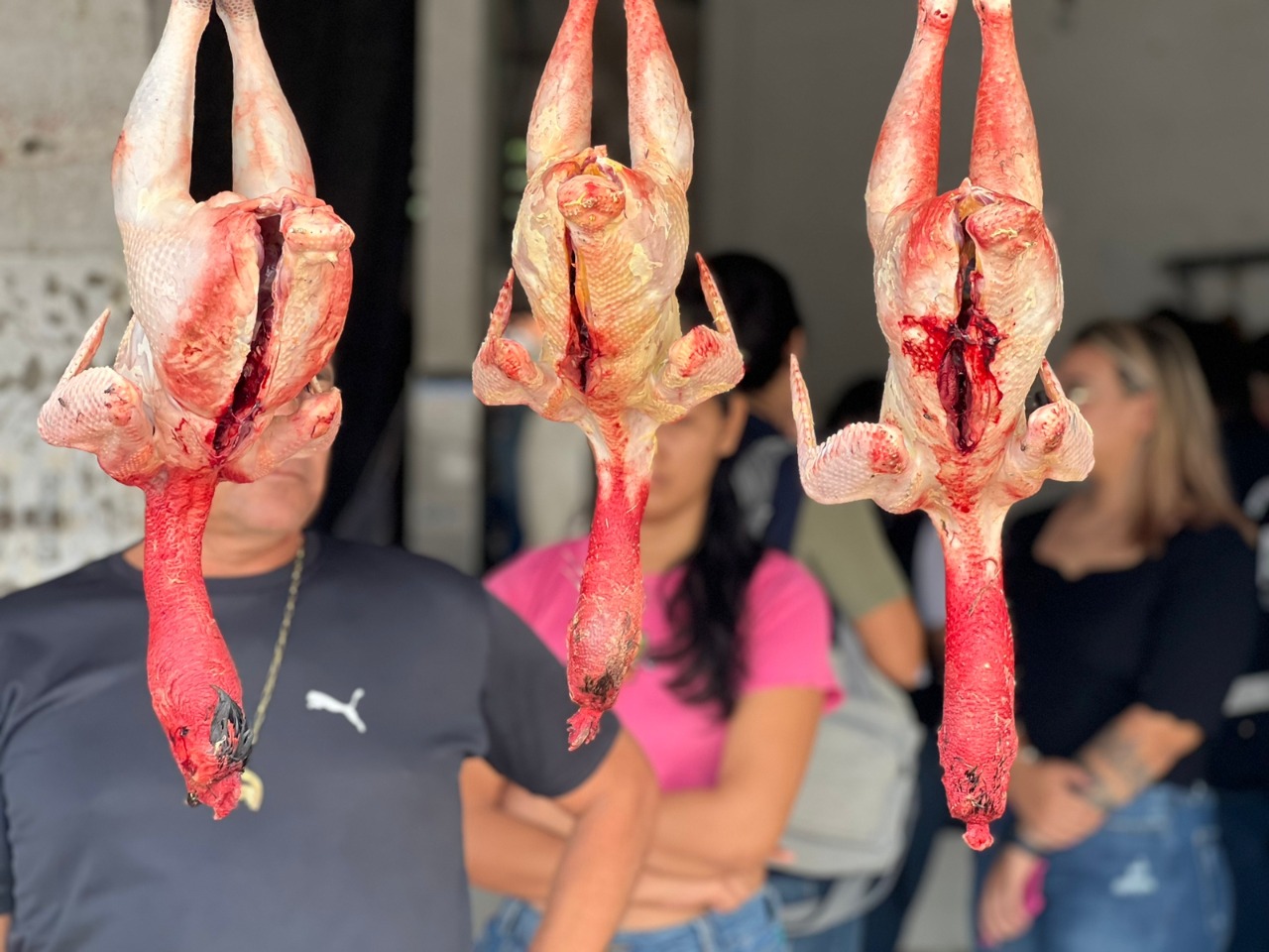 Foto: Divulga&ccedil;&atilde;o / Paulo Wilker 