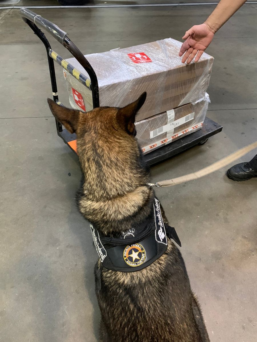 Foto: Divulga&ccedil;&atilde;o