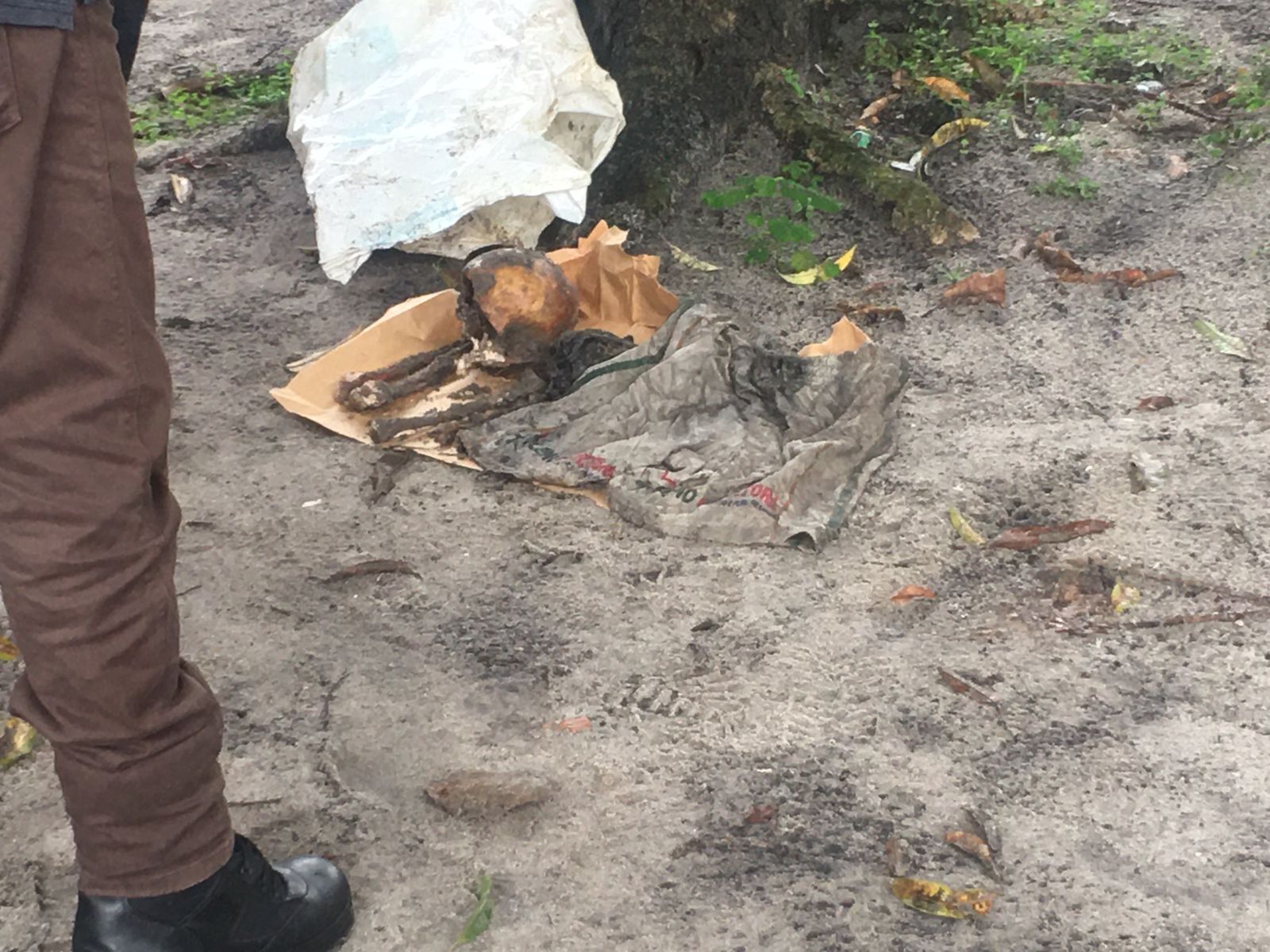 Foto: Jander Robson / Portal do Holanda