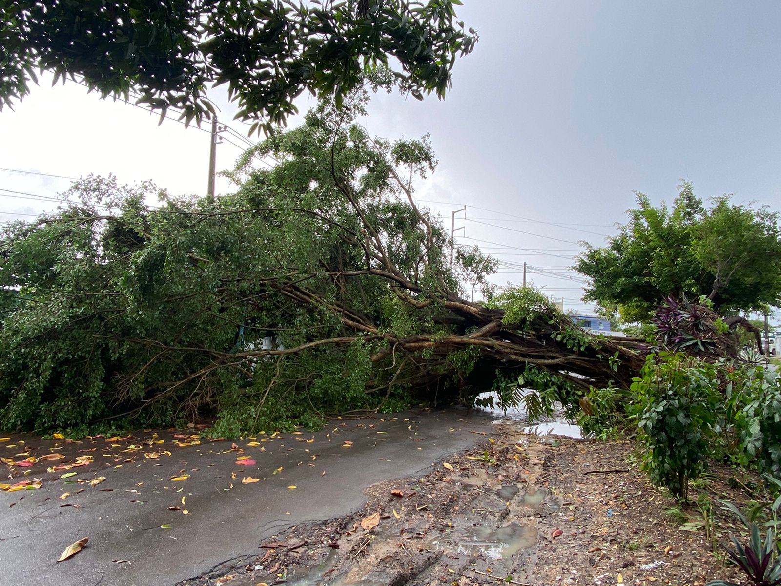 Foto: Divulga&ccedil;&atilde;o