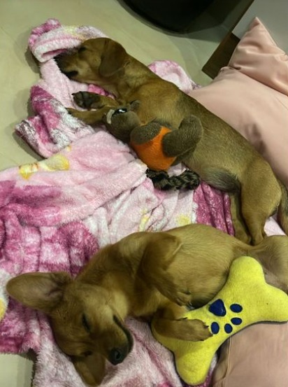 Foto: Reprodu&ccedil;&atilde;o/Instagram