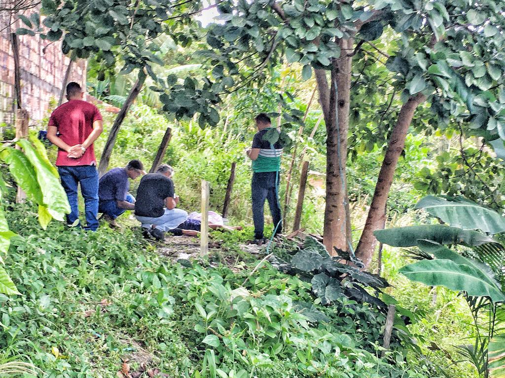 Foto: Jander Robson / Portal do Holanda