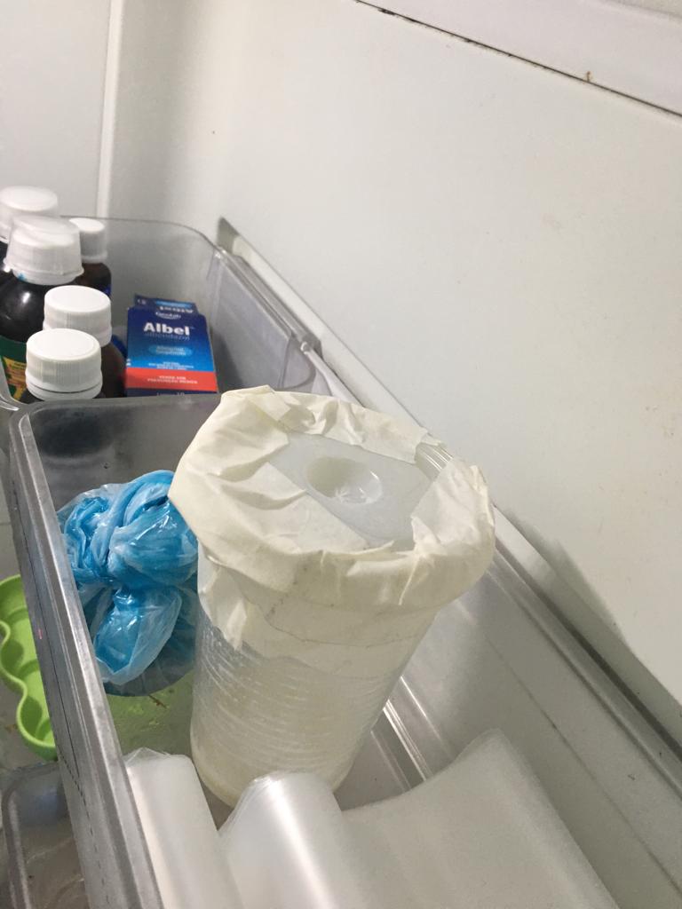 Foto: Divulga&ccedil;&atilde;o