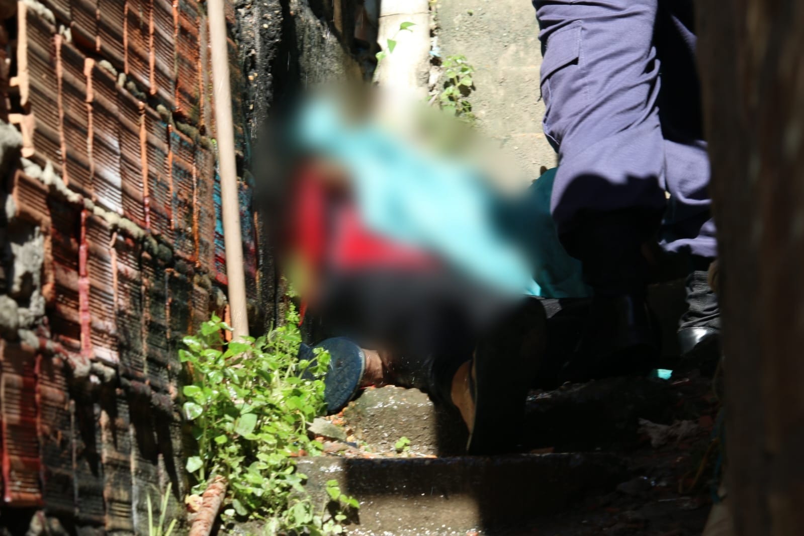 Foto: Jander Robson / Portal do Holanda