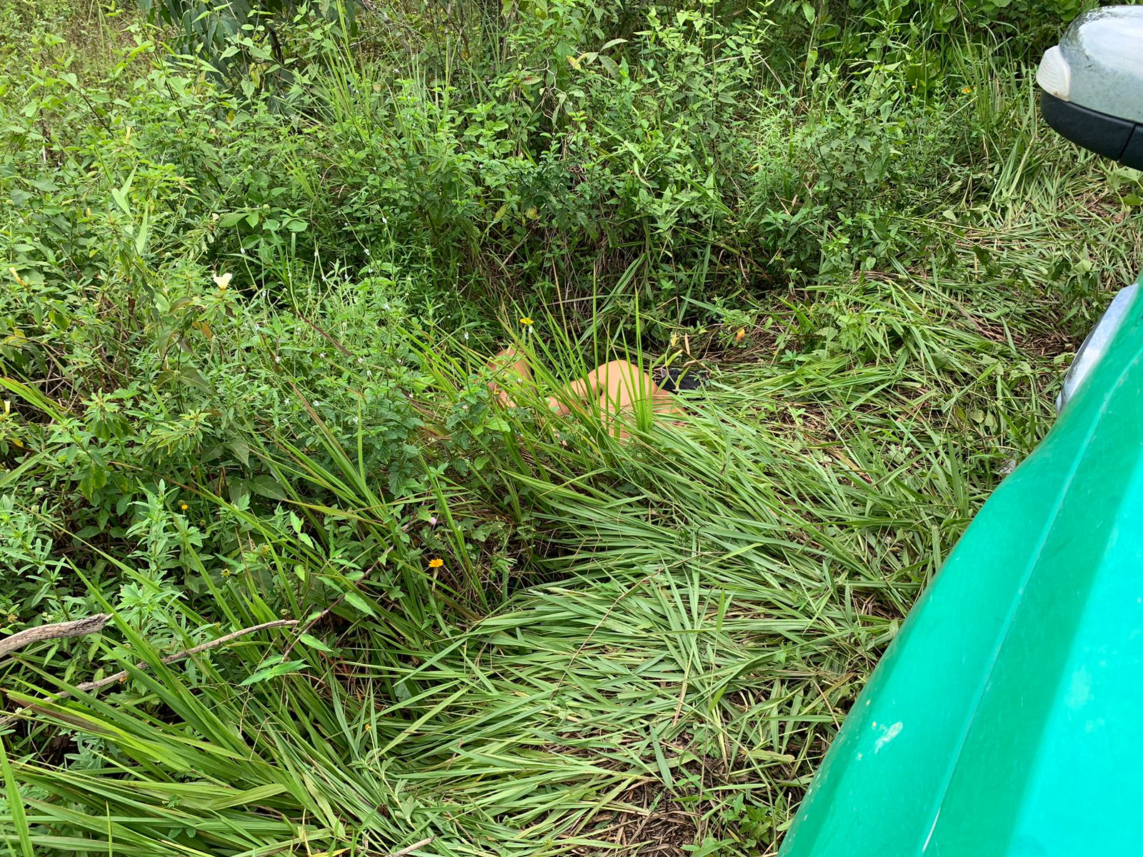 Foto: Caio Guarlotte/ Portal do Holanda 