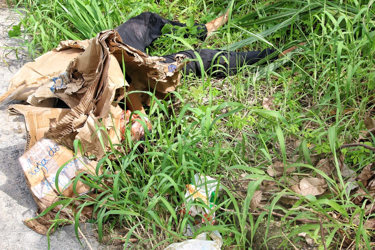 Foto: Jander Robson/Portal do Holanda