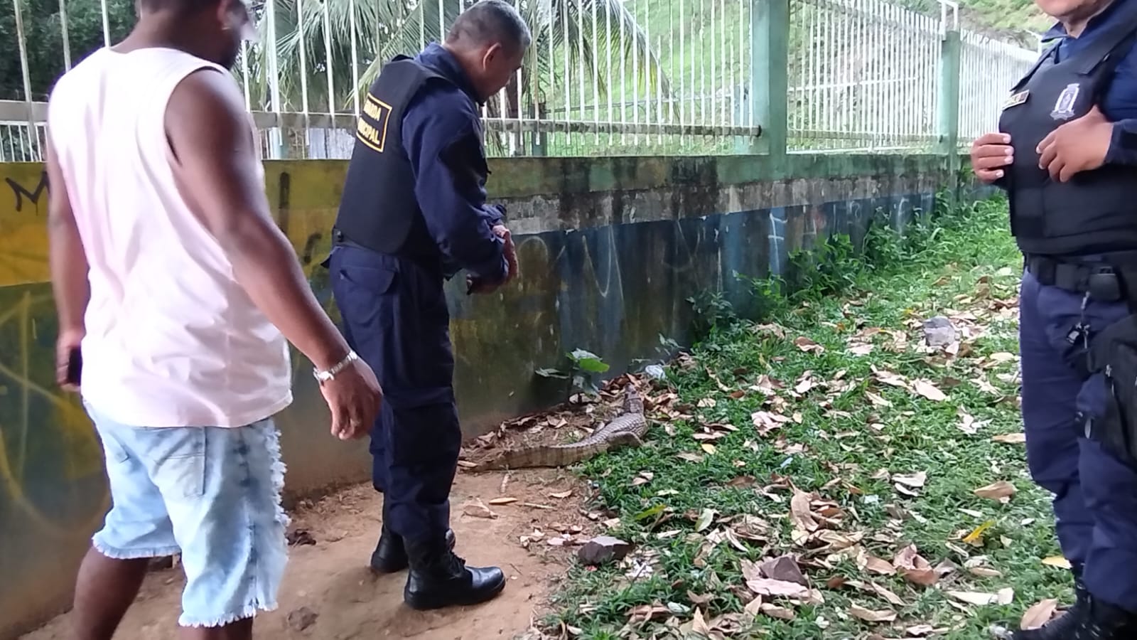 Divulga&ccedil;&atilde;o