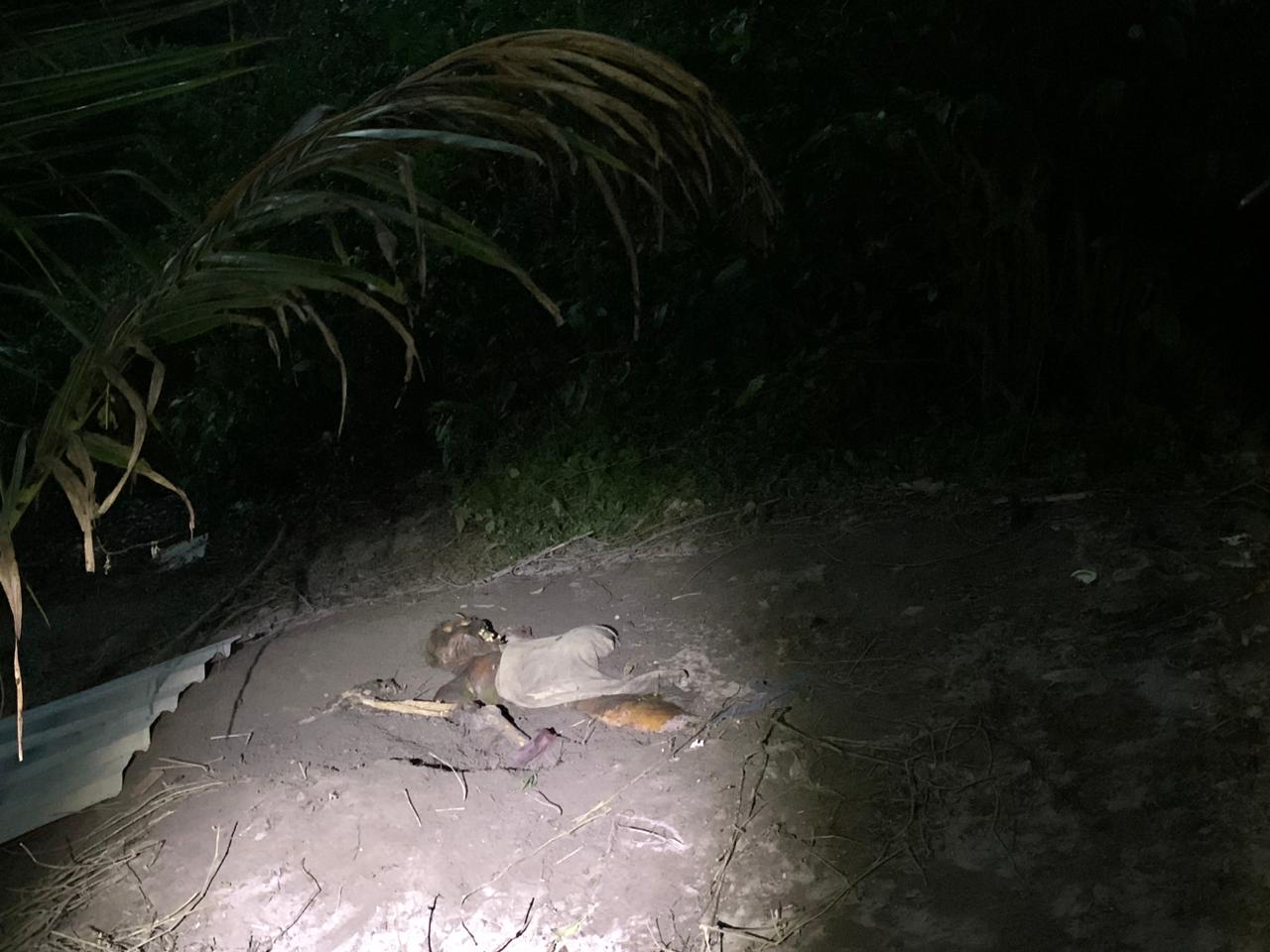 Foto: Caio Guarlotte / Portal do Holanda