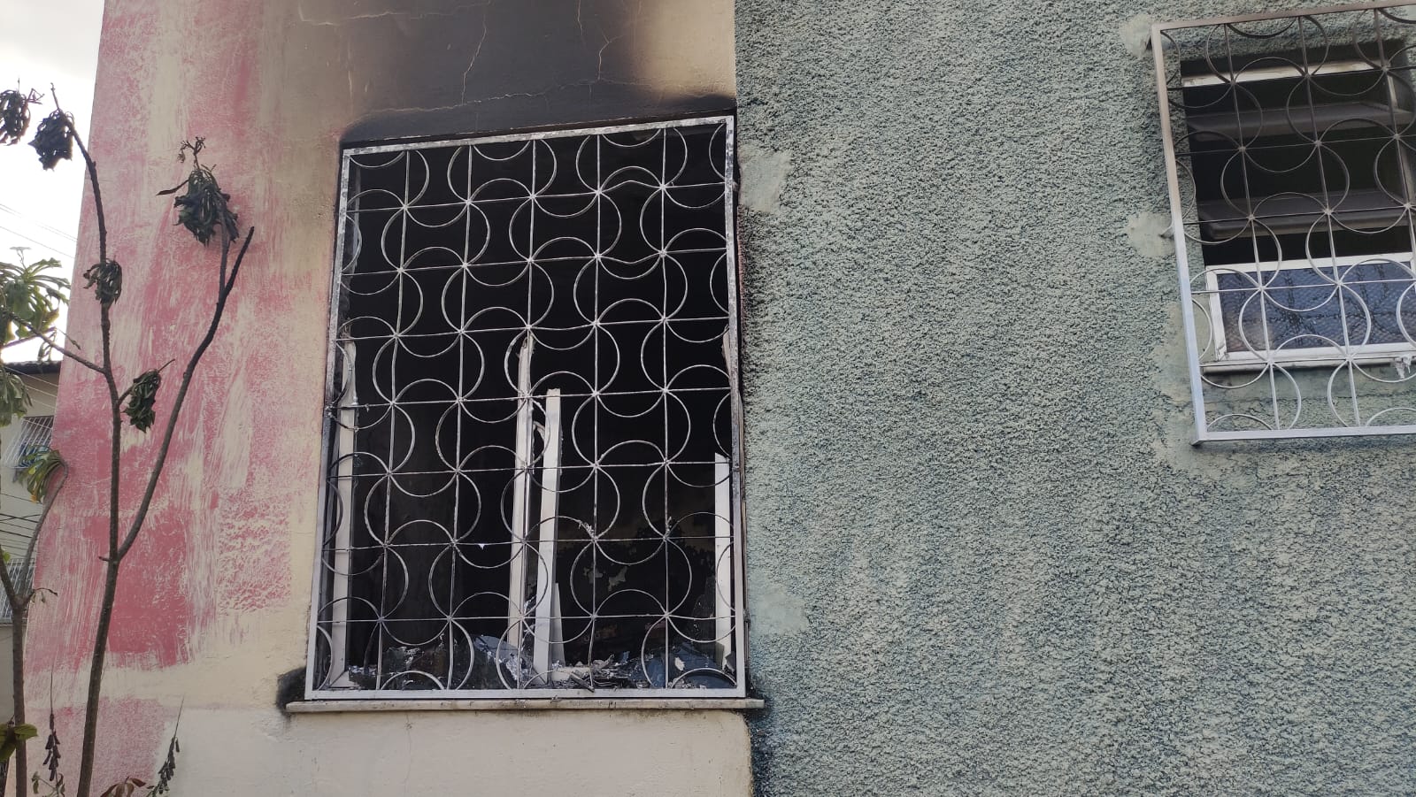 Foto: Divulga&ccedil;&atilde;o