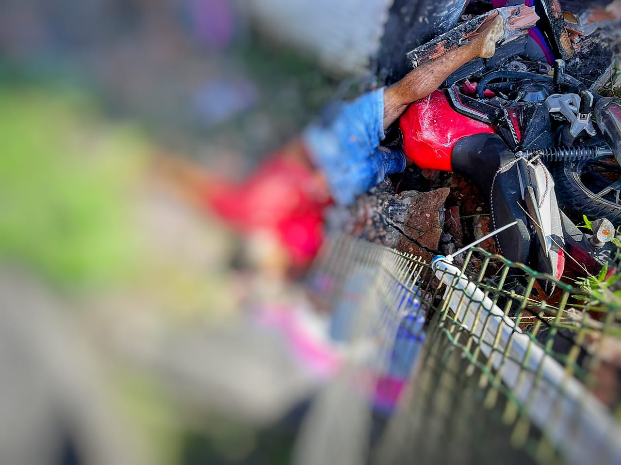 Foto: Jander Robson/Portal do Holanda