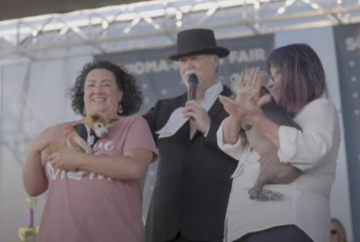 Imagem: Reprodu&ccedil;&atilde;o