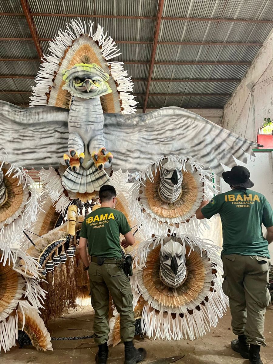 Foto: Divulga&ccedil;&atilde;o Ibama-AM