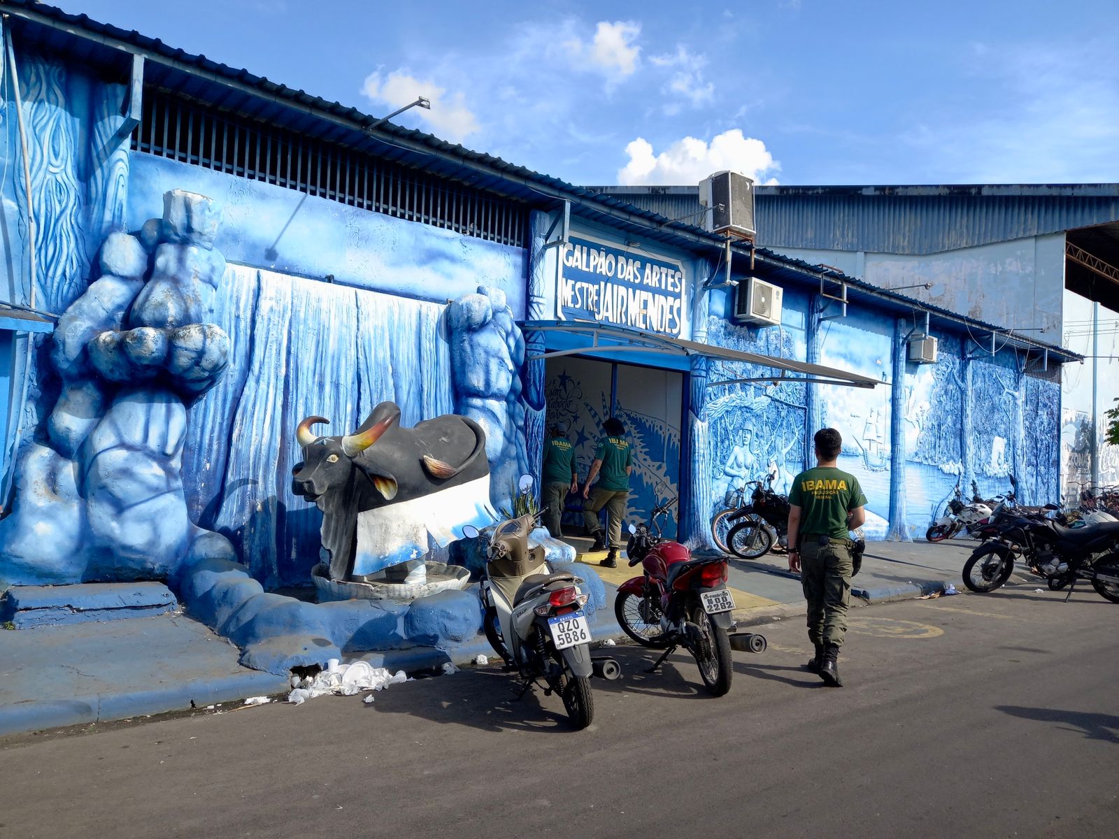 Foto: Divulga&ccedil;&atilde;o Ibama-AM