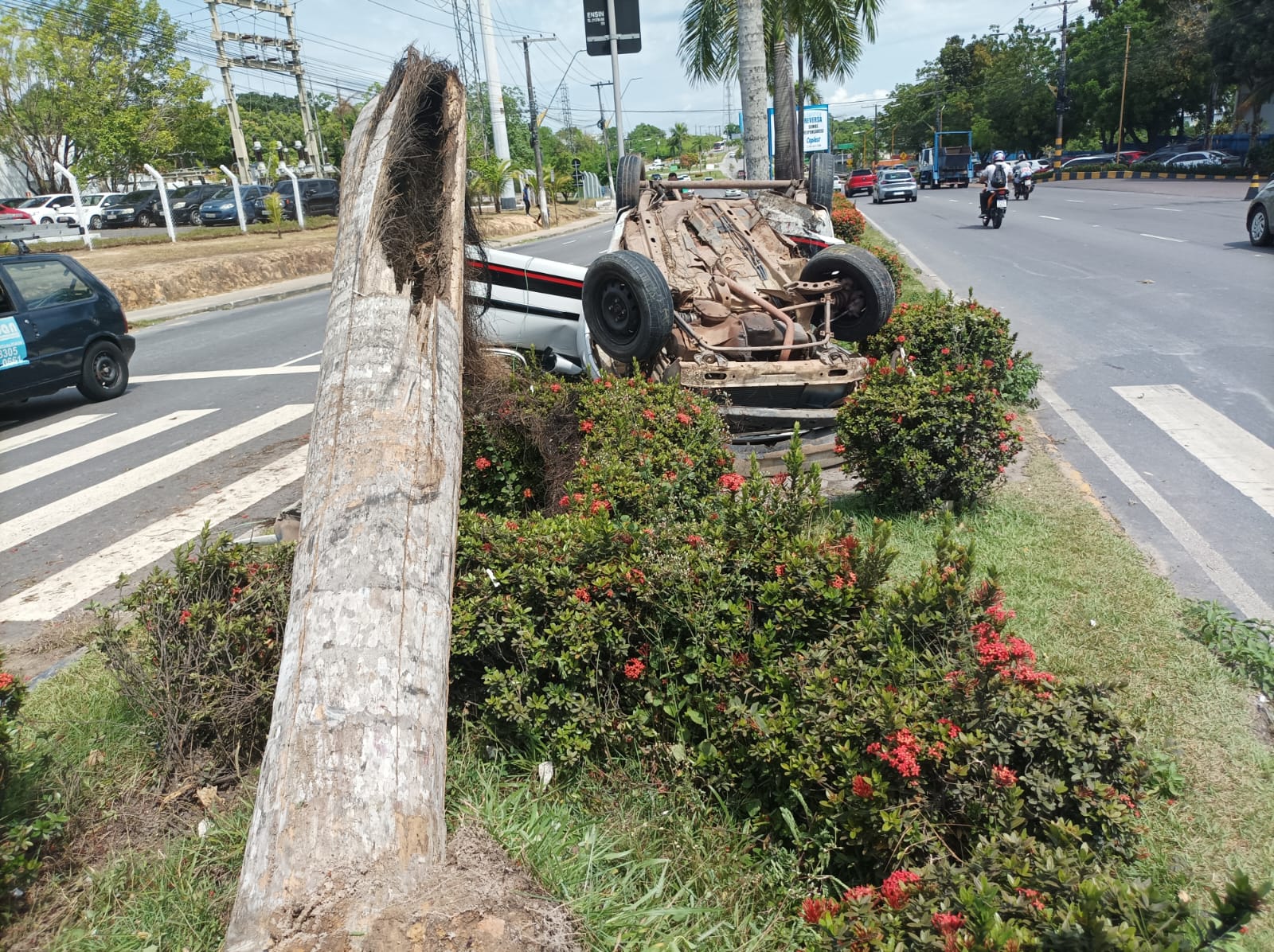 Foto: Jander Robson/Portal do Holanda