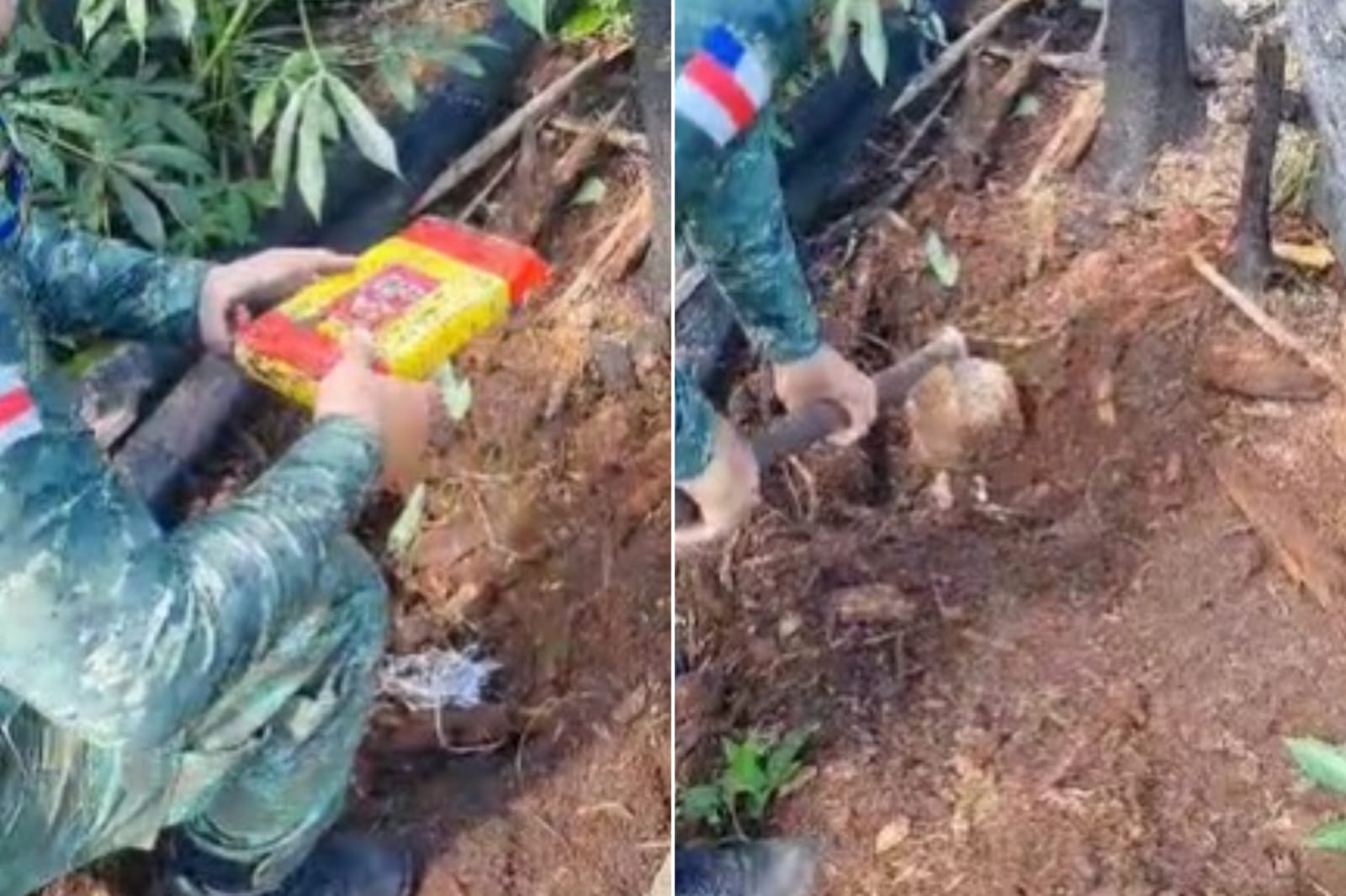 Foto: Divulga&ccedil;&atilde;o