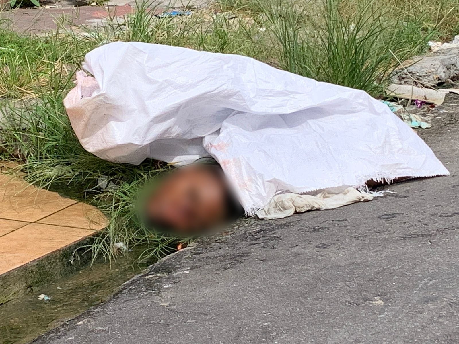 Foto: Caio Guarlotte / Portal do Holanda