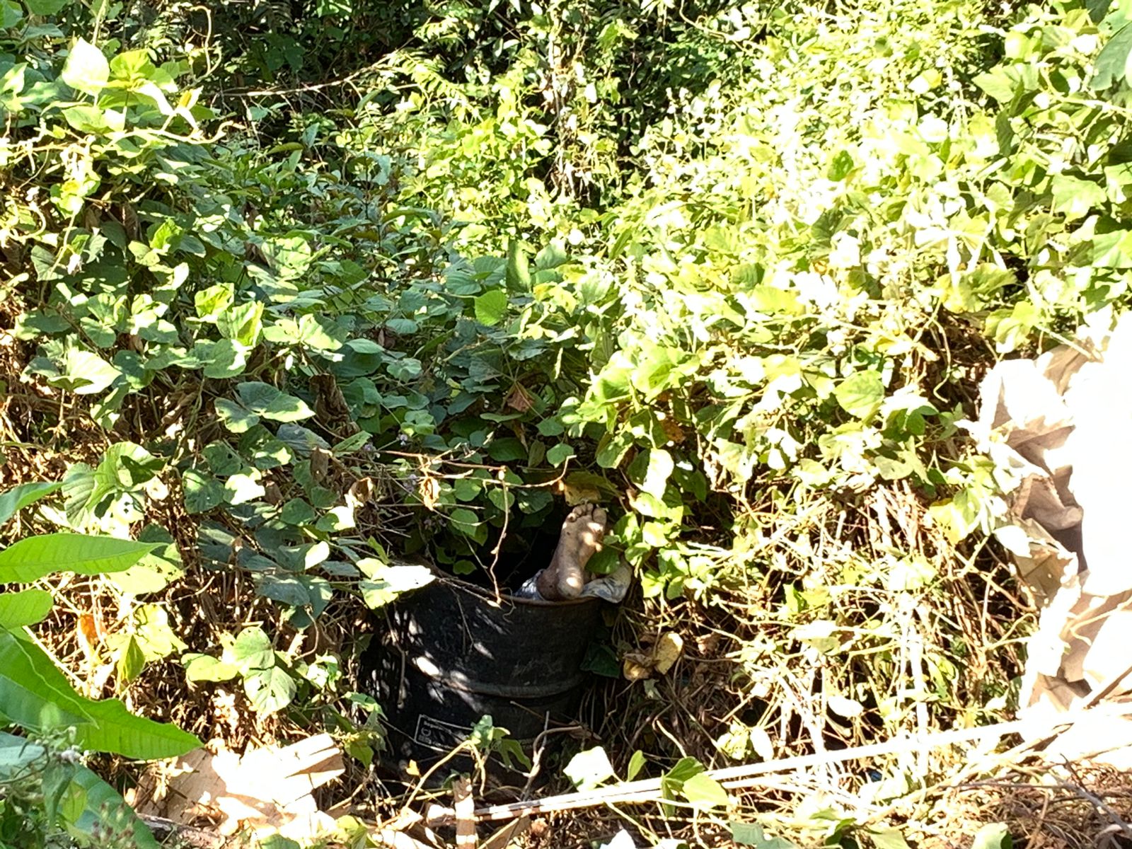 Foto: Caio Guarlotte / Portal do Holanda