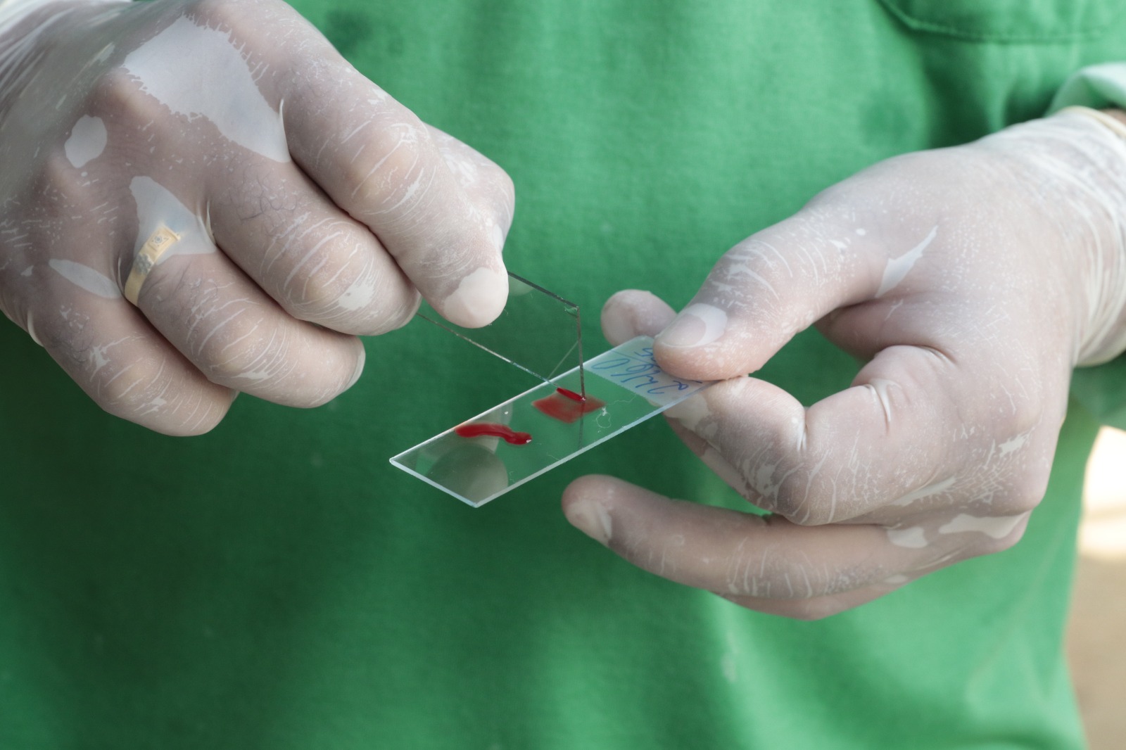 Foto: Roberto Carlos/Secom