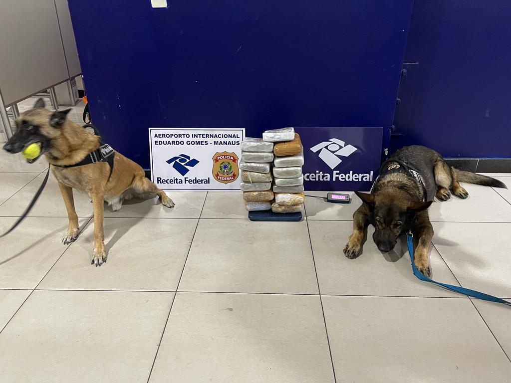 Foto: Divulga&ccedil;&atilde;o