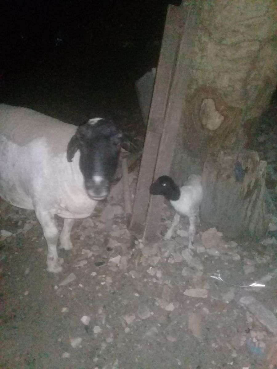 Foto: Divulga&ccedil;&atilde;o