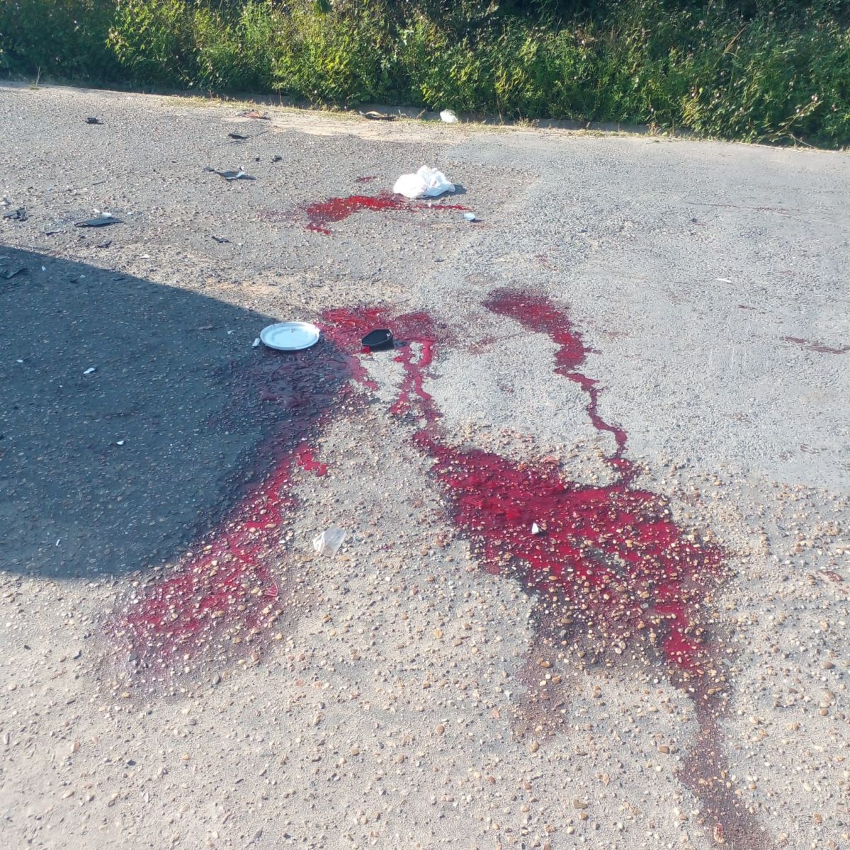 Foto: Divulga&ccedil;&atilde;o