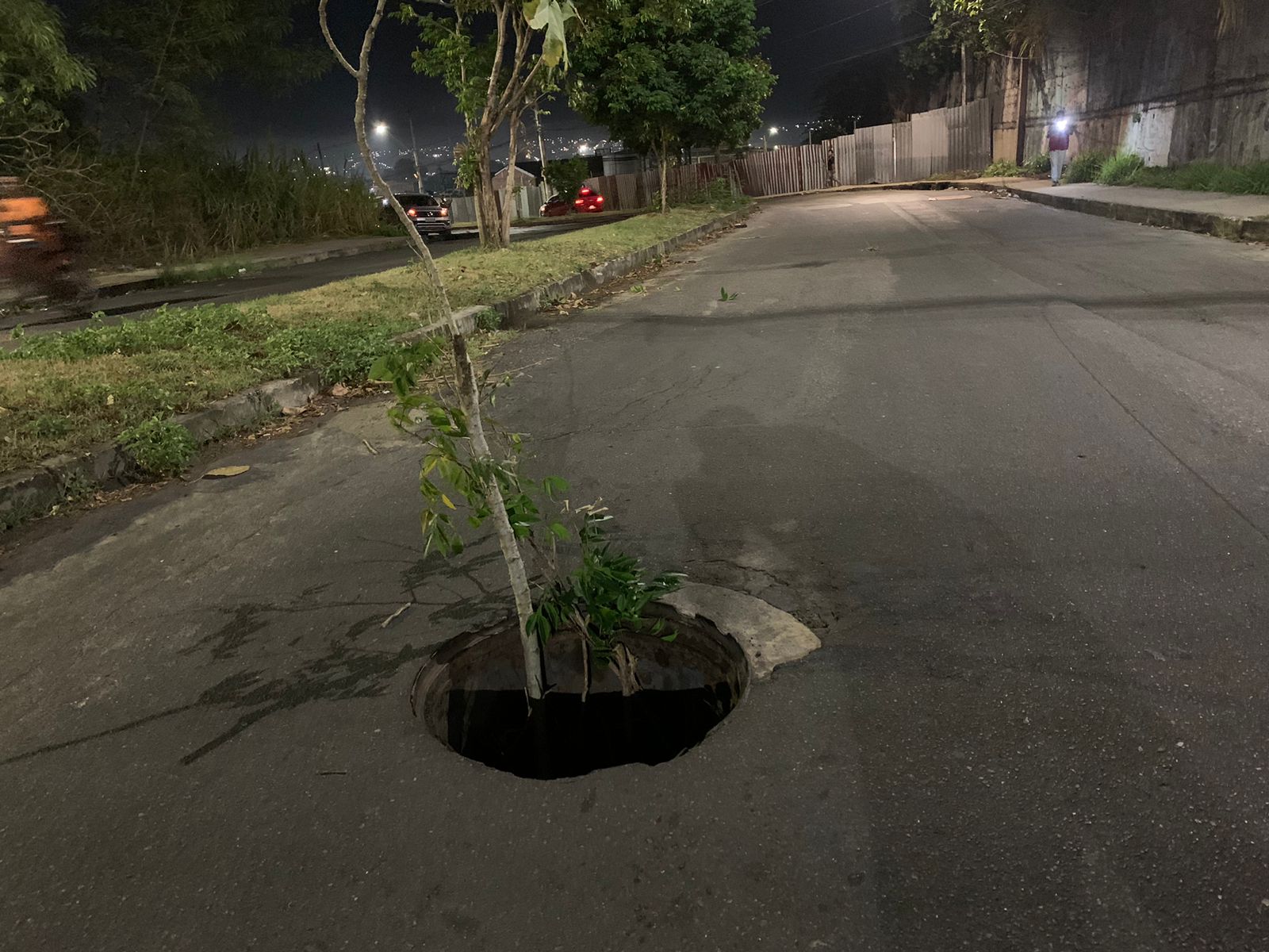 Foto: Caio Guarlotte / Portal do Holanda