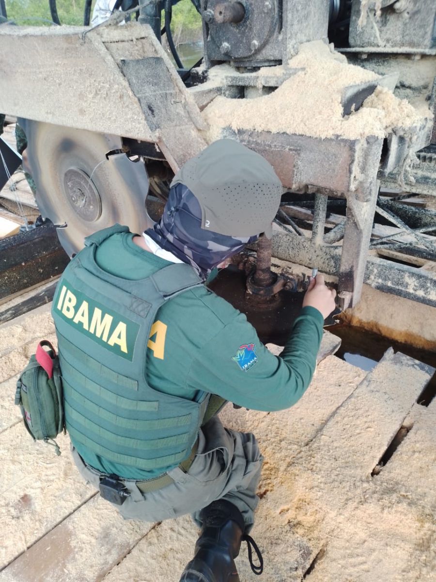 Foto: Divulga&ccedil;&atilde;o Ibama-AM