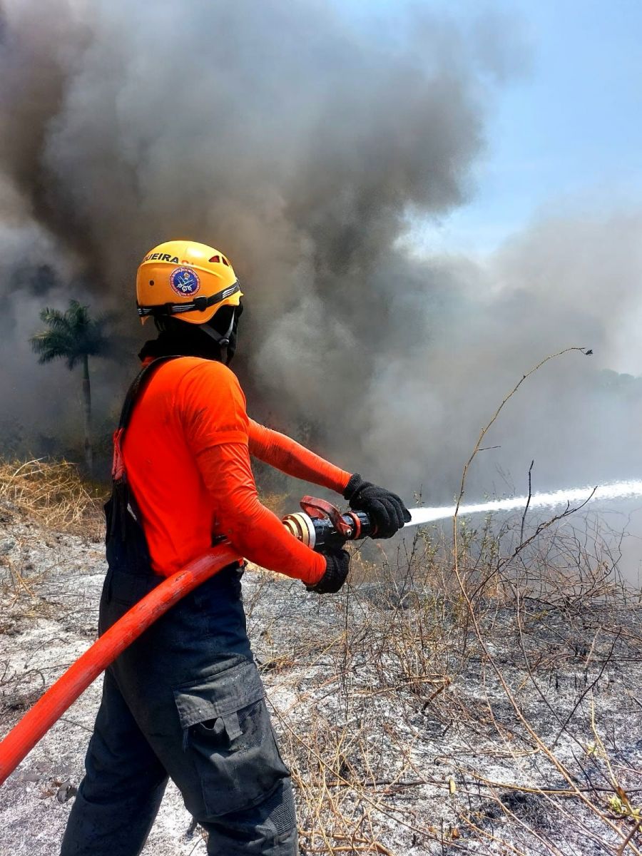 Foto: Divulga&ccedil;&atilde;o CBMAM