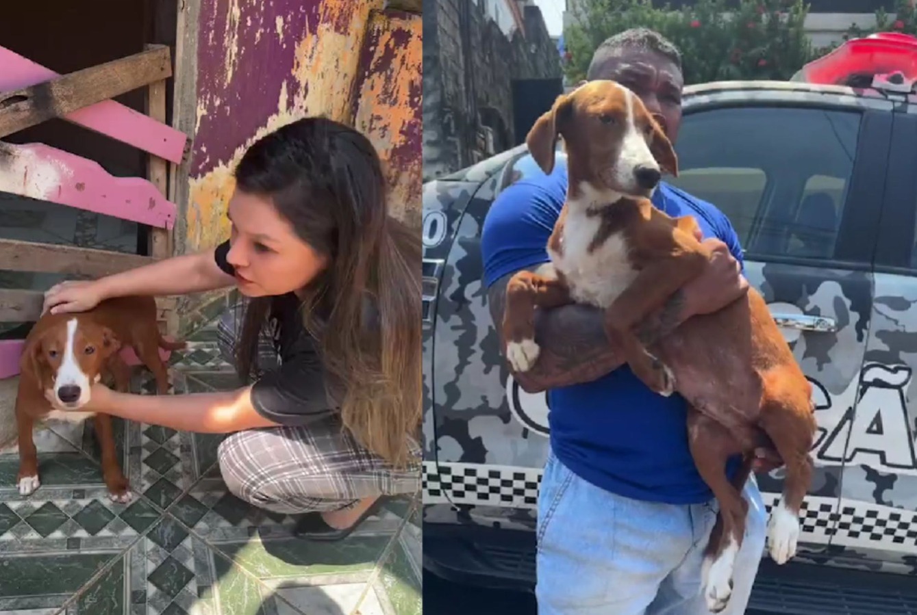 Foto: Reprodu&ccedil;&atilde;o Instagram @joanadarcam