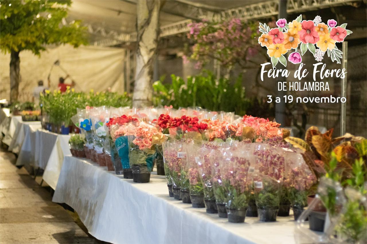 Foto: Divulga&ccedil;&atilde;o