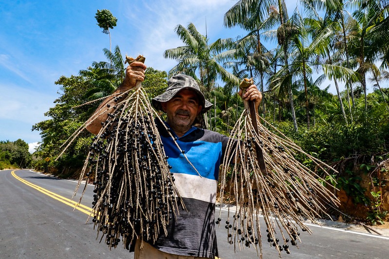 Domingos Oliveira / Foto: Antonio Lima/Secom Governo do Amazonas