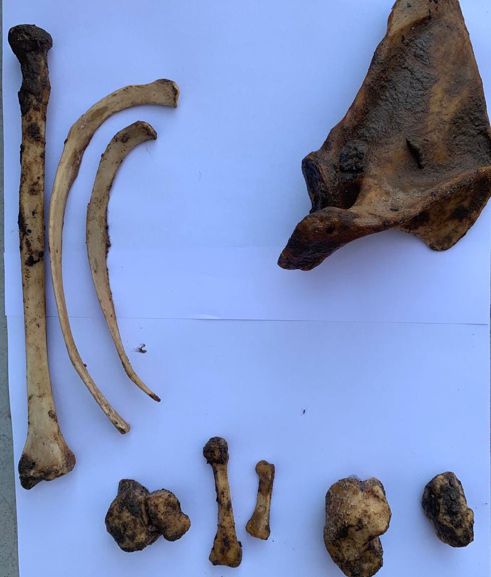 Foto: Divulga&ccedil;&atilde;o