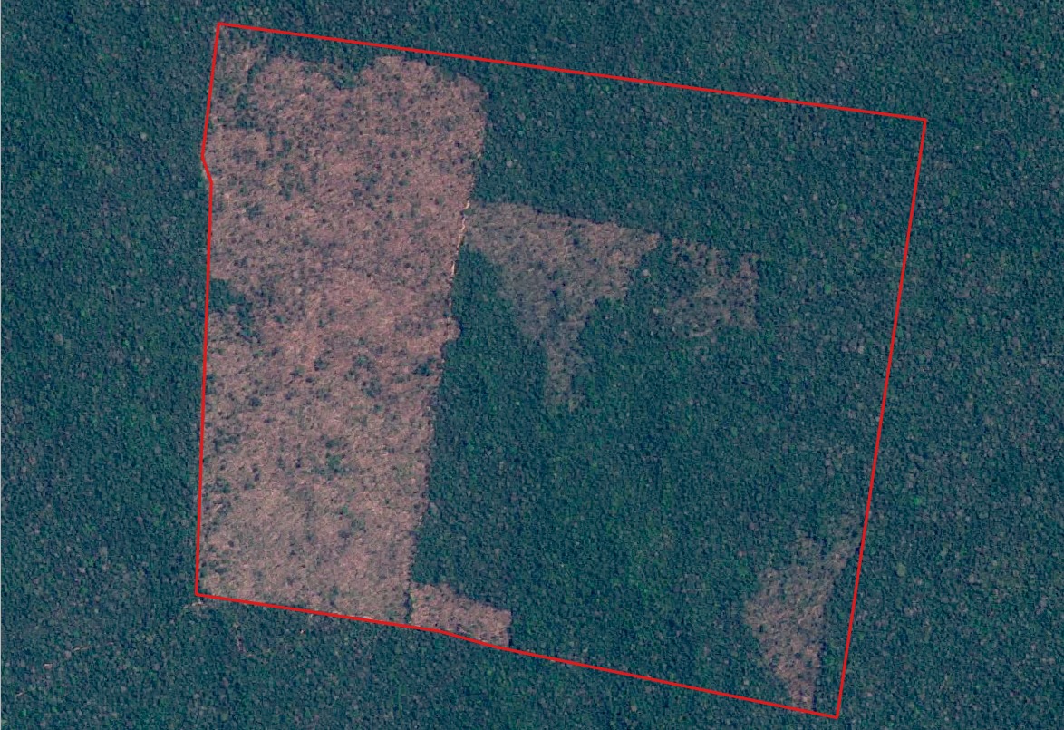 Foto: Divulga&ccedil;&atilde;o Ibama