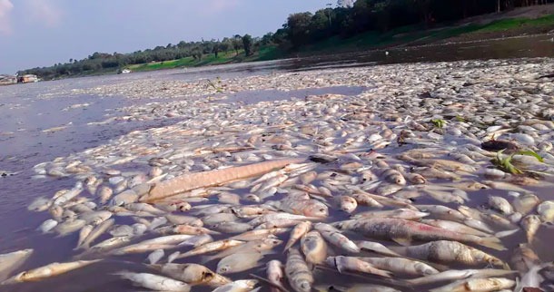 Foto: Divulga&ccedil;&atilde;o