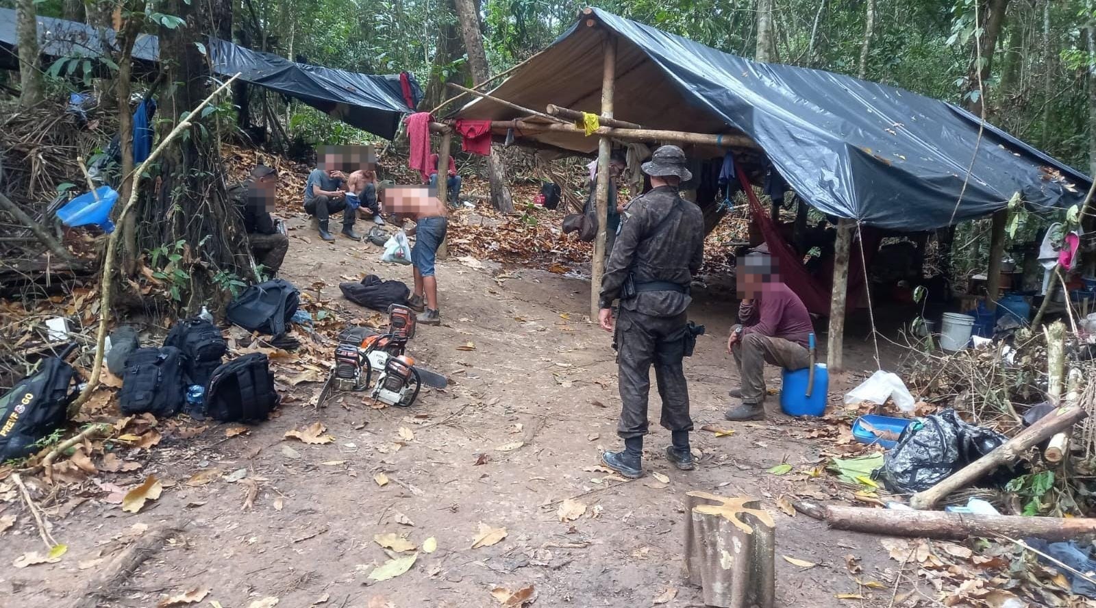 Foto: Divulga&ccedil;&atilde;o Ibama