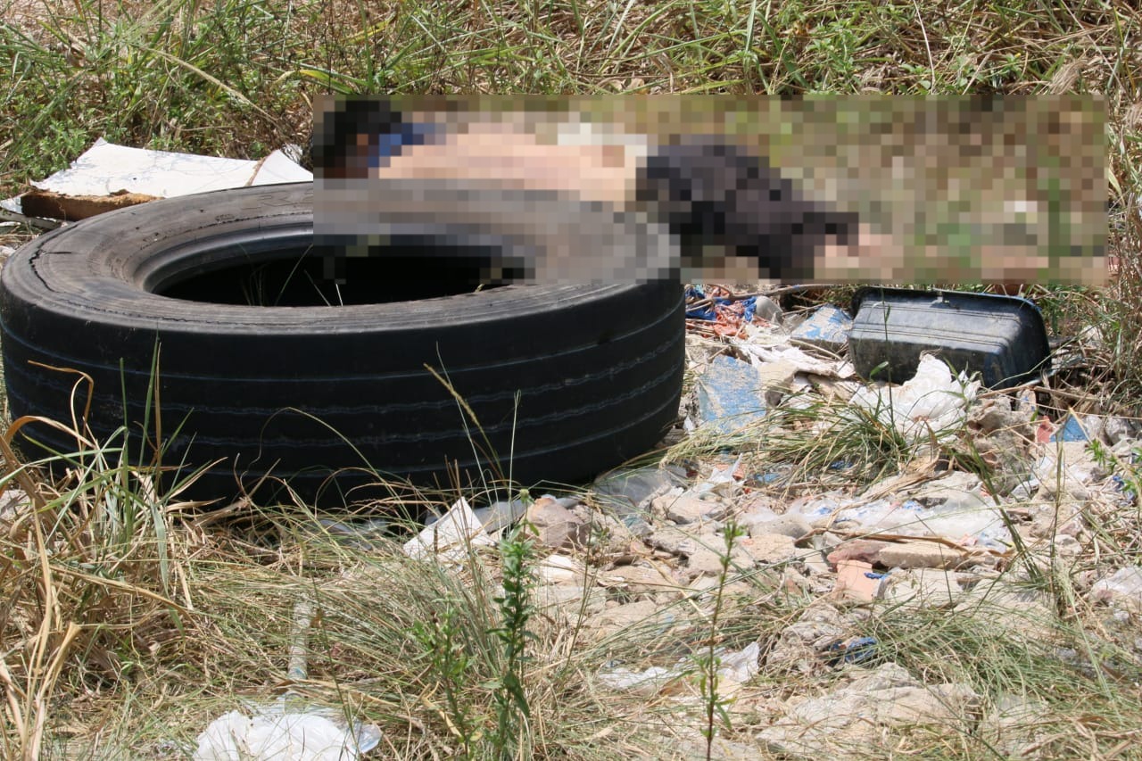 Foto: Jander Robson / Portal do Holanda