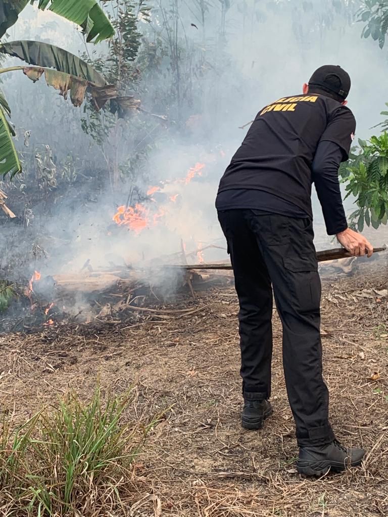 Foto: Divulga&ccedil;&atilde;o PC-AM