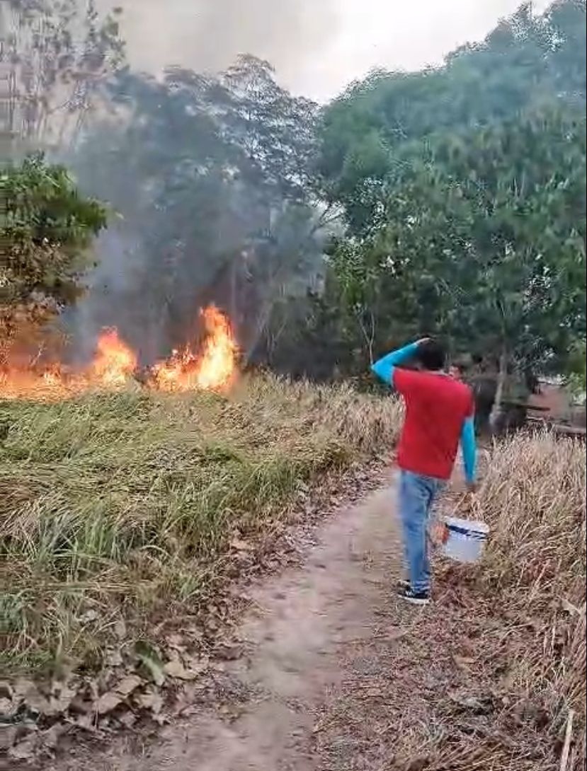 Foto: Divulga&ccedil;&atilde;o PC-AM