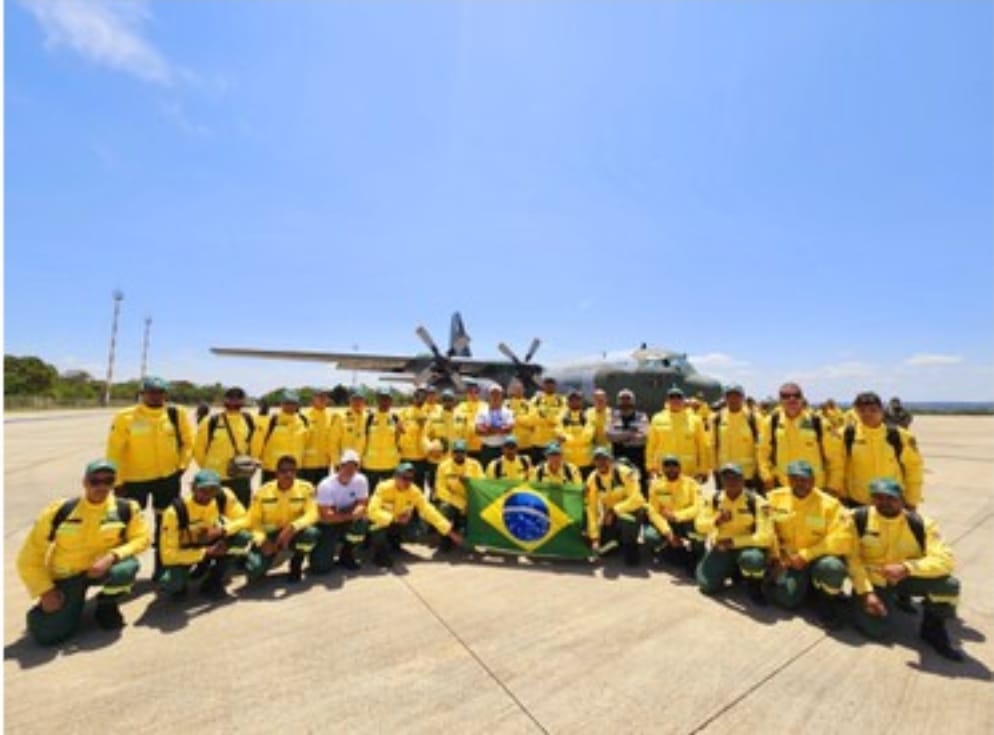 Foto: Divulga&ccedil;&atilde;o Ibama Amazonas